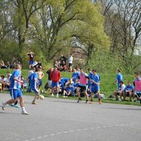 2012 peterfy kupa 12